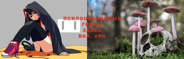 первитин Абаза