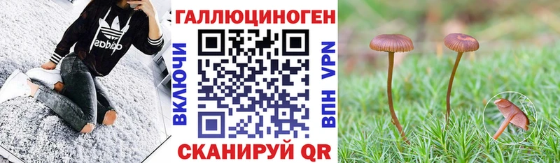 Псилоцибиновые грибы прущие грибы  наркотики  Электросталь 
